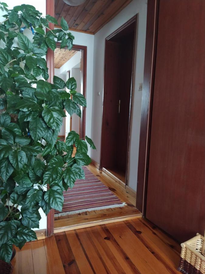 Apartmani Milic Sirogojno Esterno foto