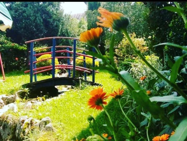 Apartmani Milic Sirogojno Esterno foto