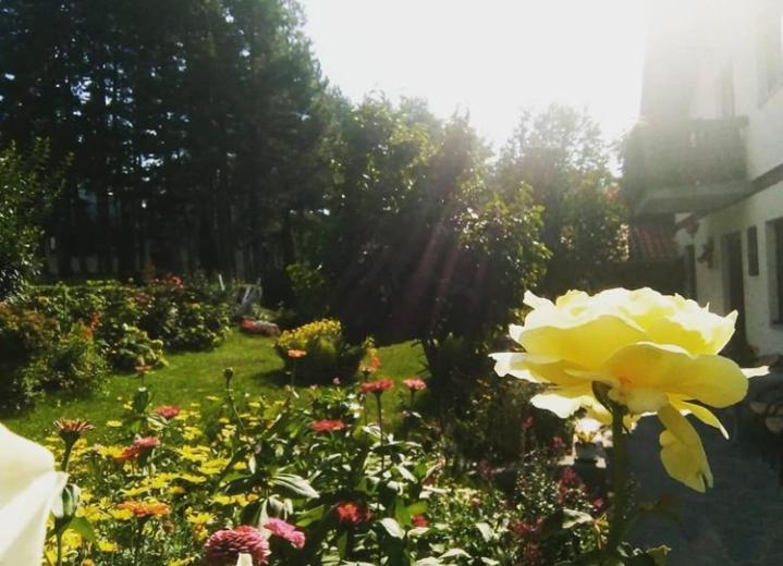 Apartmani Milic Sirogojno Esterno foto