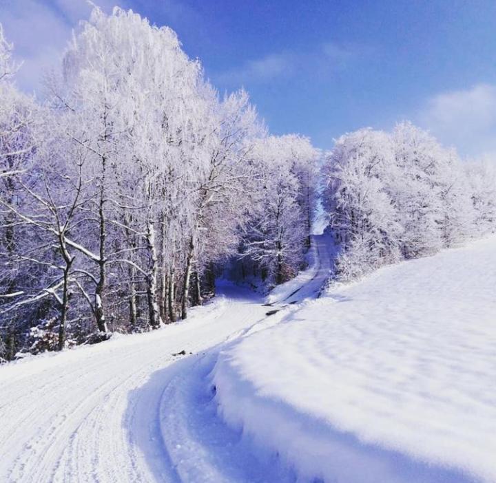 Apartmani Milic Sirogojno Esterno foto