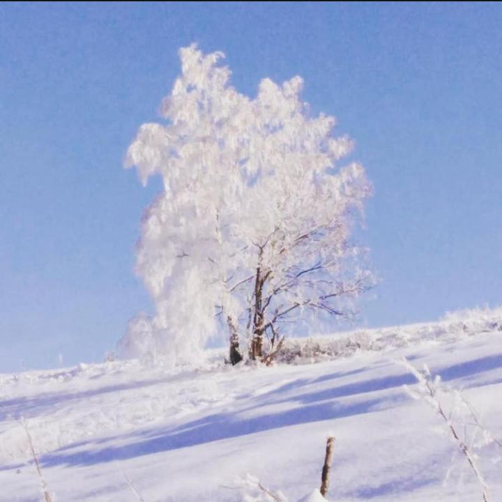 Apartmani Milic Sirogojno Esterno foto