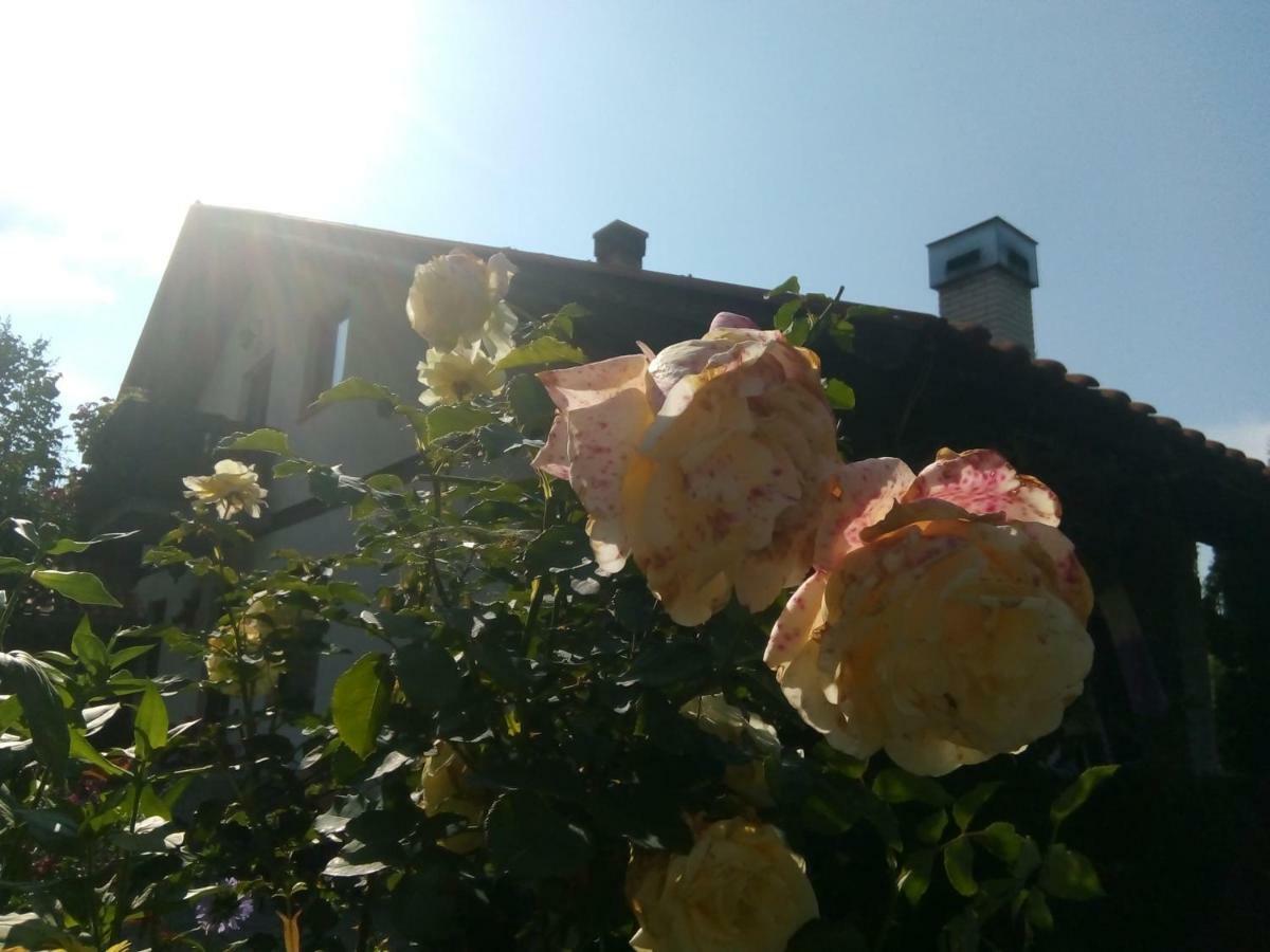 Apartmani Milic Sirogojno Esterno foto