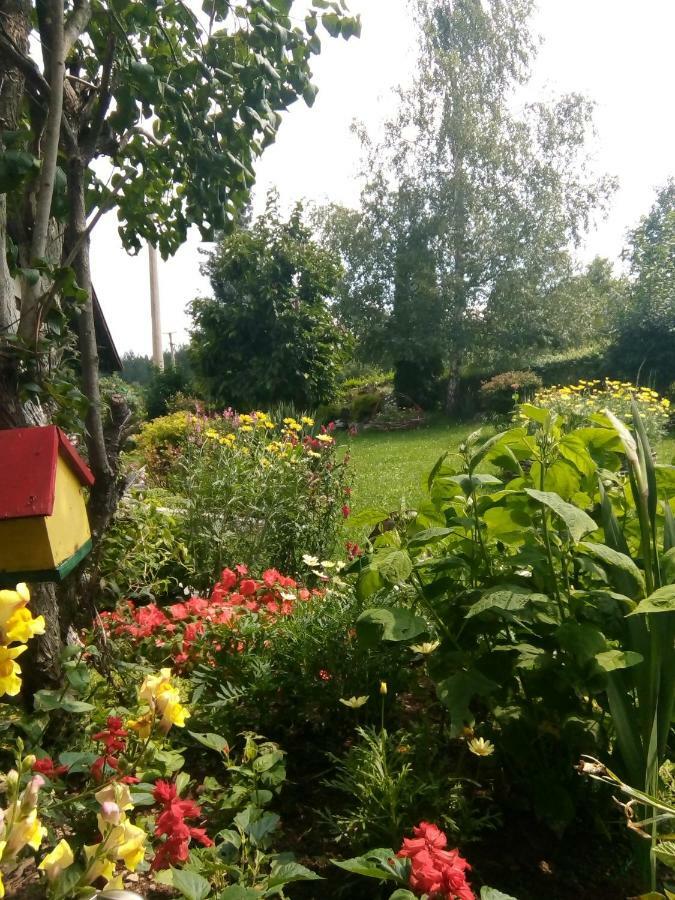 Apartmani Milic Sirogojno Esterno foto